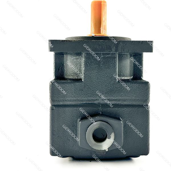 пластинчатый насос БГ12-41 (YB-D6,3R)