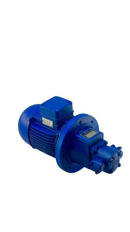 Агрегат насосный (шестеренный) RZM1,35/2,5 REBS ITALY